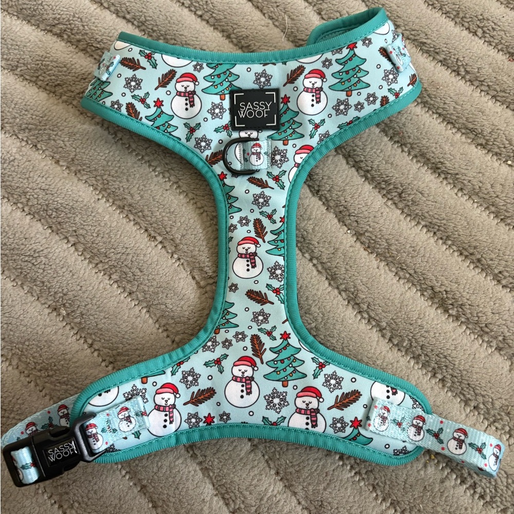 Sassy Woof Dog Harness